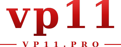 vp11 logo